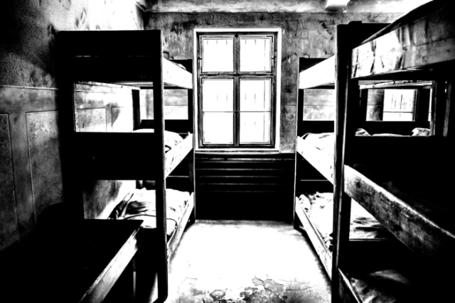 Přecpané kriminály? Jaká je realita?